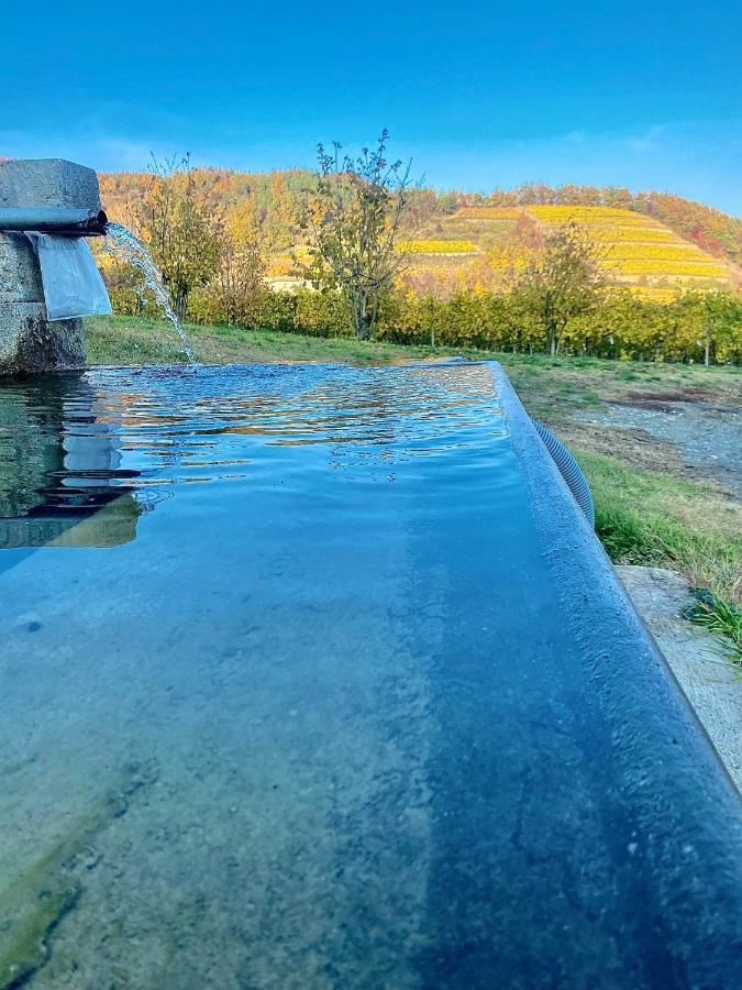 Agriturismo Pian Del Duca Vesime Extérieur photo